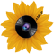 Message Image